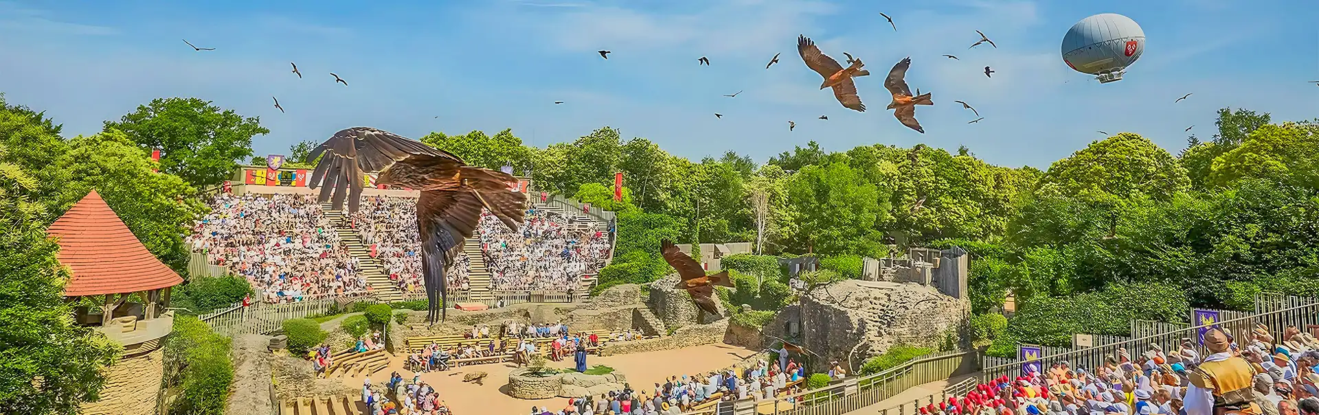Le Bal des Oiseaux Fantômes, rapaces en vol au-dessus du public